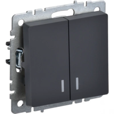 IEK BRITE Выключатель 2-клавишный с индикацией 10А ВС10-2-1-БрГ графит IEK BRITE Выключатель 2-клавишный с индикацией 10А ВС10-2-1-БрГ графит